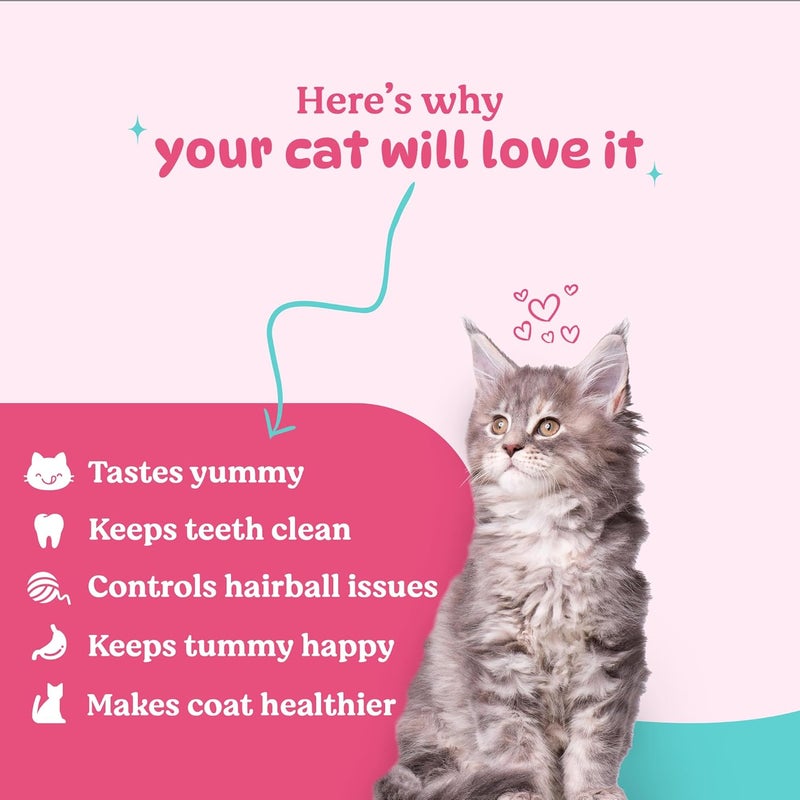 BASIL Purrfect Cat Dental Sticks Combo Pack | Tuna Cranberry & Tuna Chicken | Treats for Adult Cats | Oral Hygiene, Hairball Control, Easy Digestion & Healthier Coat | 44g Pack of 1 Each - Image 2