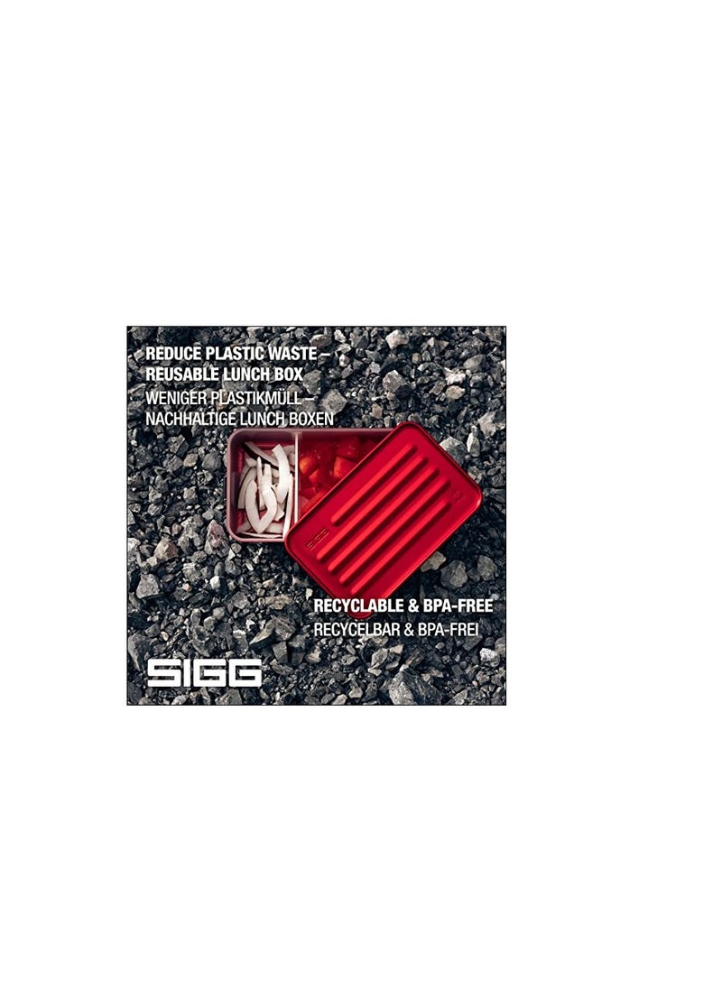 SIGG - Metal Lunch Box