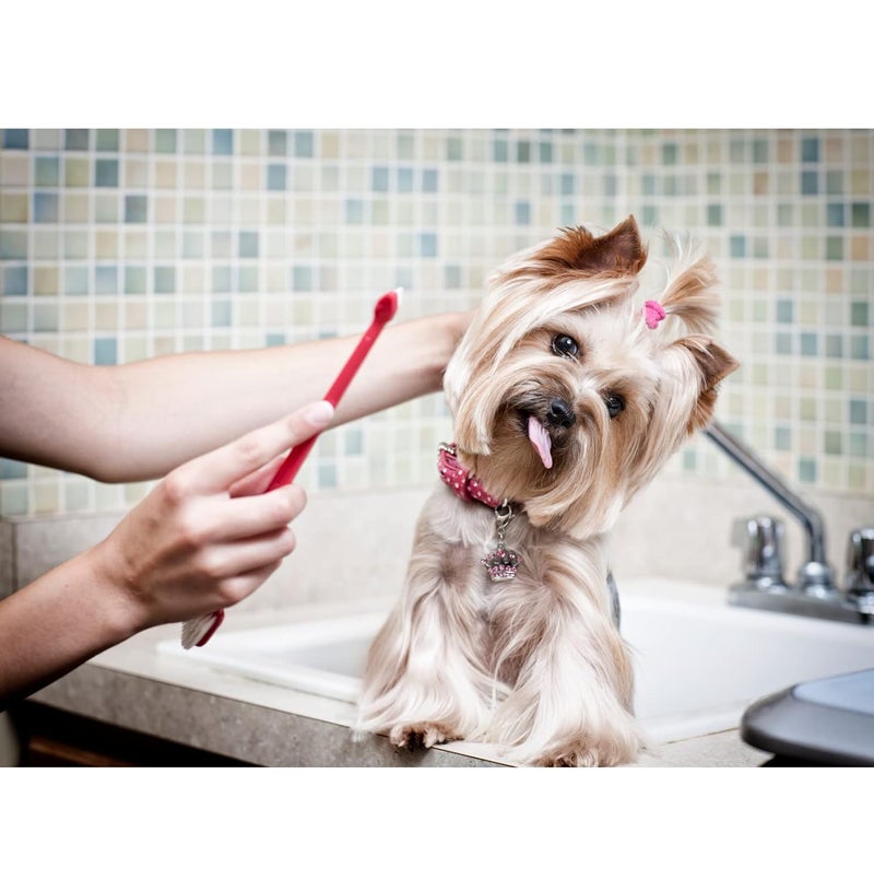 Trixie : -Toothbrush Set | Dual-ended Brush for Dogs and Cats | Made with Soft Bristles to Gently Clean Teeth and Prevent Gum Disease | Helps in Providing Complete Dental Care – Pack of 4 (23cm) - Image 3