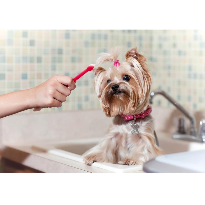 Trixie : -Toothbrush Set | Dual-ended Brush for Dogs and Cats | Made with Soft Bristles to Gently Clean Teeth and Prevent Gum Disease | Helps in Providing Complete Dental Care – Pack of 4 (23cm) - Image 4