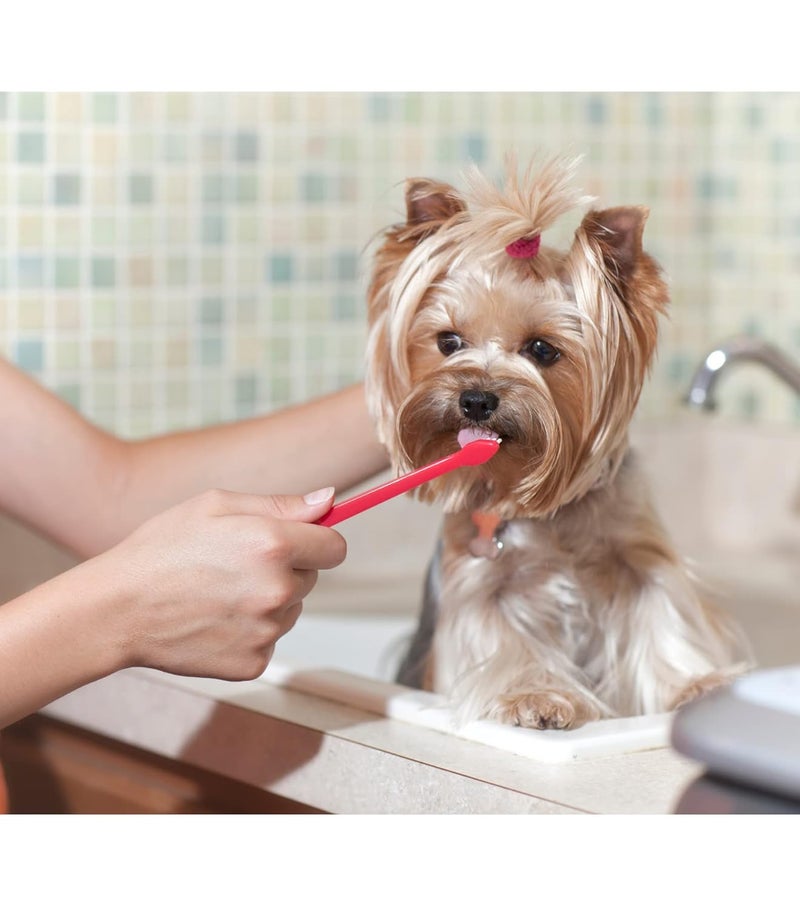 Trixie : -Toothbrush Set | Dual-ended Brush for Dogs and Cats | Made with Soft Bristles to Gently Clean Teeth and Prevent Gum Disease | Helps in Providing Complete Dental Care – Pack of 4 (23cm) - Image 2