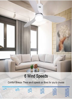 Ceiling Fans, 52 Inch with LED Light and Remote, 6 Speeds Indoor Outdoor, with 3 Blades, Quiet Reversible DC Motor/Sleep Timer, Suitable for Bedroom, Courtyard, Living Room - pzsku/ZE34A383CD73D5D36A337Z/45/_/1703748089/a36251c3-a18d-44eb-a73d-cef16899363b