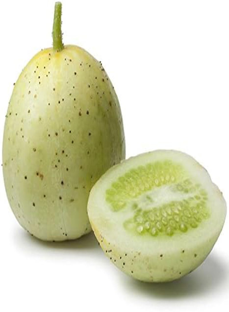 GGOOT - VEGETABLE CUCUMBER CRYSTAL APPLE - 30 SEEDS - HERITAGE  - Image 1