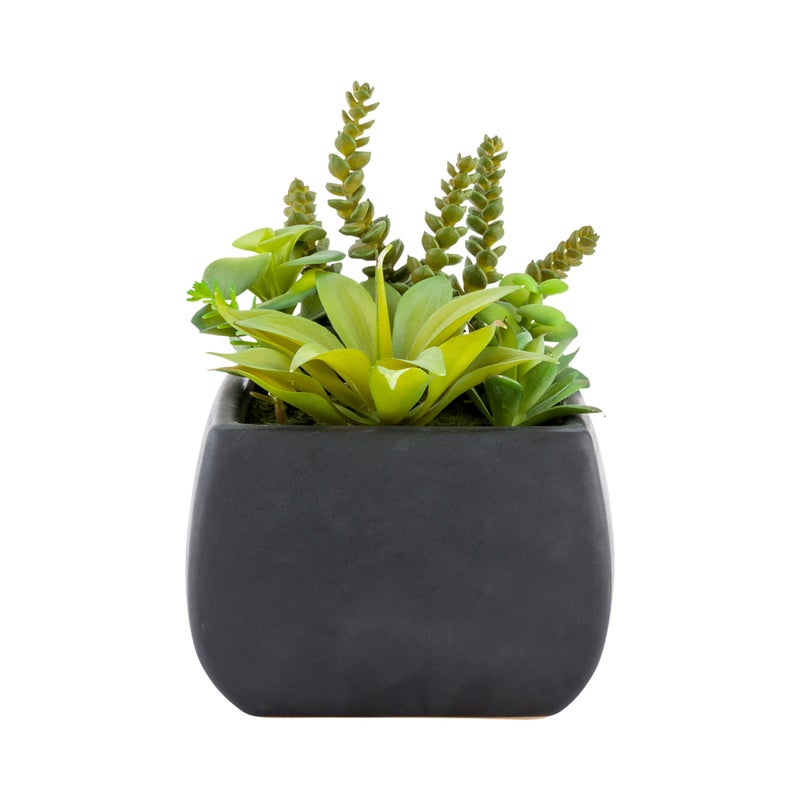 Restaurantware-6 x 8.5 Inch Faux Succulent Arrangement, 1 Realistic Artificial Succulent - In Porcelain Planter, Use As Table Decor, Shelf Decor, Or Centerpiece, Black Plastic Fake Desk Plant, Square - Image 2