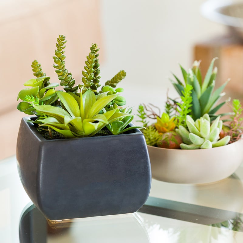 Restaurantware-6 x 8.5 Inch Faux Succulent Arrangement, 1 Realistic Artificial Succulent - In Porcelain Planter, Use As Table Decor, Shelf Decor, Or Centerpiece, Black Plastic Fake Desk Plant, Square - Image 3