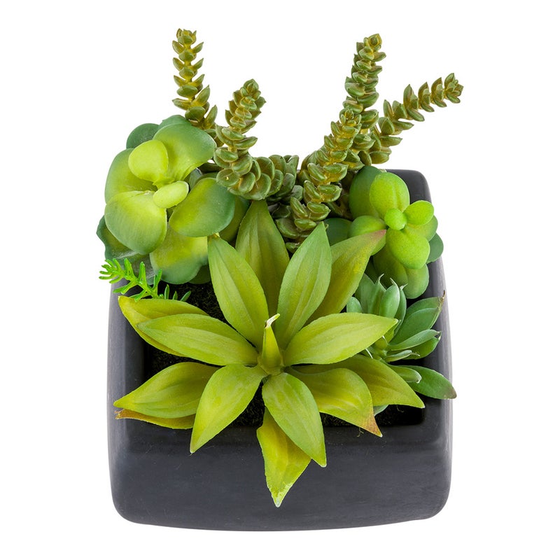 Restaurantware-6 x 8.5 Inch Faux Succulent Arrangement, 1 Realistic Artificial Succulent - In Porcelain Planter, Use As Table Decor, Shelf Decor, Or Centerpiece, Black Plastic Fake Desk Plant, Square - Image 1