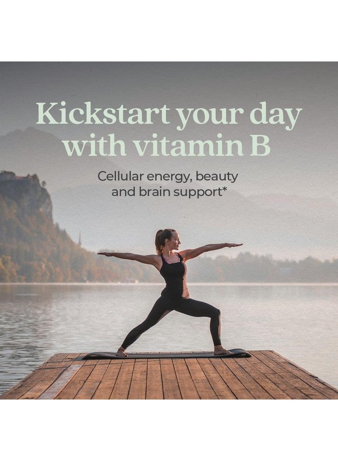 New Chapter Vitamin B Complex, Fermented Vitamin B Complex, USDA Organic, ONE Daily for Cellular Energy + Brain + Beauty, 100% Vegan, Gluten-Free - 90 Count - Image 2