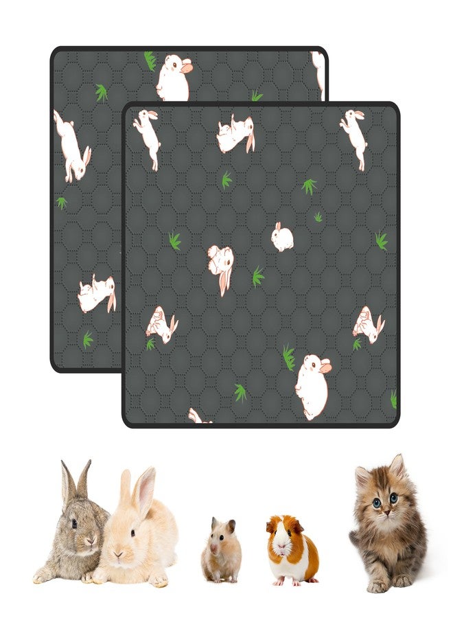 MODESLAB 2-Pack Washable Pee Pads for Dogs, 36in x 42in Puppy Traning Pads Leakproof Guinea Pig Cage Liner Rabbit Cage Absorbing Bedding Reusable Anti-Slip Rug Mat for Crate - Image 1
