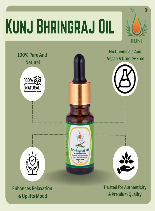 KUNJ Bhringraj Oil (Eclipta prostrata) 10ML - 100% Pure & Natural Cold Pressed Ayurvedic Hair Oil for Faster Hair Growth, Stronger Roots & Hair Fall Control | Lightweight, Non-Sticky Herbal Oil - Image 4