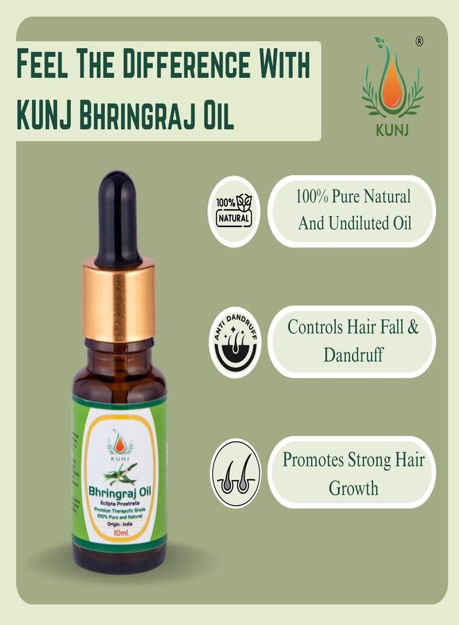 KUNJ Bhringraj Oil (Eclipta prostrata) 10ML - 100% Pure & Natural Cold Pressed Ayurvedic Hair Oil for Faster Hair Growth, Stronger Roots & Hair Fall Control | Lightweight, Non-Sticky Herbal Oil - Image 2