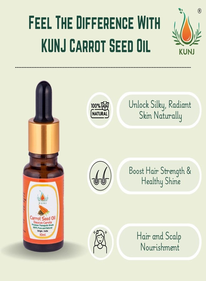 KUNJ Carrot Seed Oil (Daucus carota) 10ML - 100% Pure & Natural, Cold Pressed, Undiluted - Therapeutic Grade Oil for Skin Care, Anti-Aging, Radiant & Hydrated Skin - Image 2
