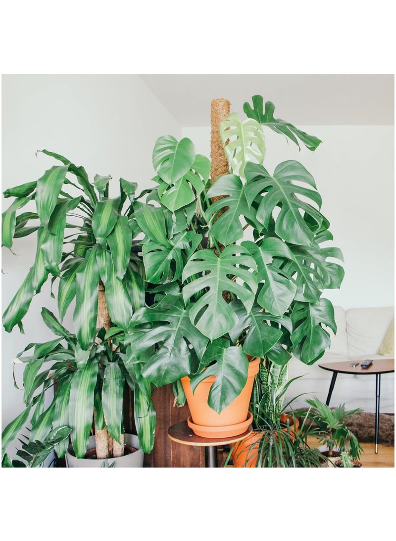 MileMelo 16 Inch Moss Pole, 4 Pcs Stackable Totem Pole Plant Support, Plant Support Stick for Indoor Plants Climbing Plants Monstera, Sphagnum, Pothos - Image 4
