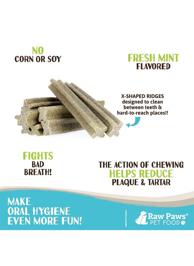 Raw Paws - Raw Paws Dental Chews for Dogs, Medium Size, Mint Flavor, 26-oz. 29 Ct. - Made in USA - Freshen Breath & Fight Plaque & Tartar - Dog Teeth Cleaning Treat - Dog Breath Treats - Dental Sticks for Dogs - Image 1