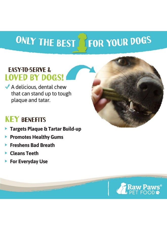Raw Paws - Raw Paws Dental Chews for Dogs, Medium Size, Mint Flavor, 26-oz. 29 Ct. - Made in USA - Freshen Breath & Fight Plaque & Tartar - Dog Teeth Cleaning Treat - Dog Breath Treats - Dental Sticks for Dogs - Image 1
