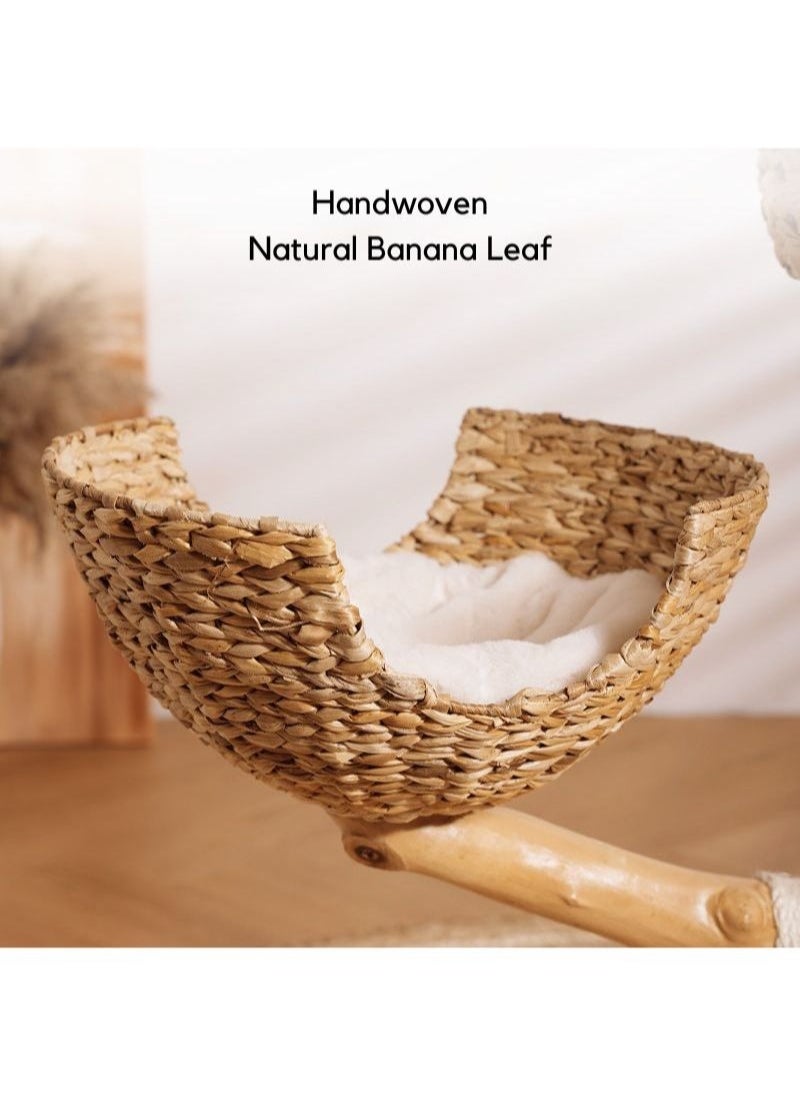 SOPAPETS - SOPAPETS High-End Medium Cat Tree Tower, Premium Rubber Wood, Scratching Posts, Cat Nest, Cat Bed, Removable Soft Cushion, Super Stable (60*60*112cm) - Image 1