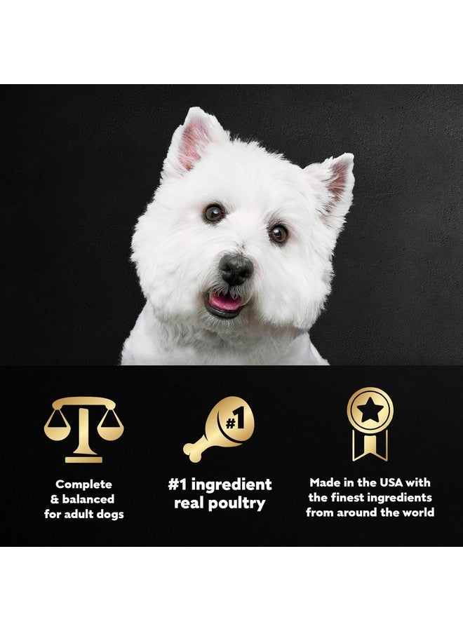 Cesar Filets in Gravy Adult Wet Dog Food, Poultry Lovers Variety Pack, 3.5 oz., (12 Count, Pack of 2) - Image 5