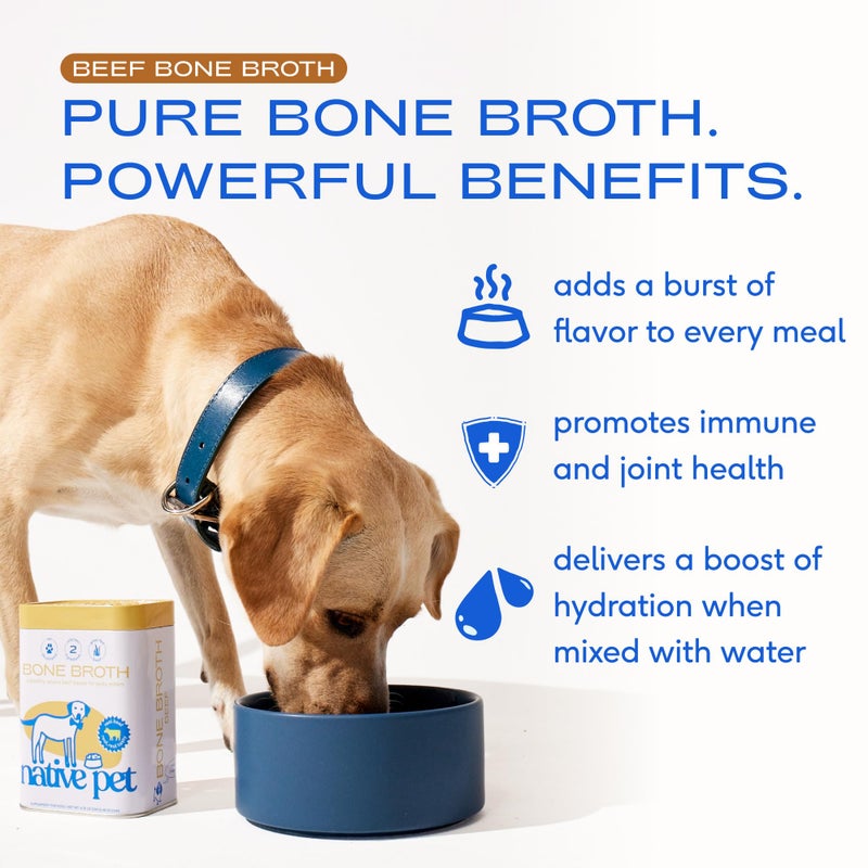 Native Pet Bone Broth for Dogs - Made with Real Beef Bone Broth, Dog Food Toppers for Picky Eaters - Provides Extra Hydration & Nutrition for Joint Strength, Immunity & Heart Health-48 Scoops - Image 2