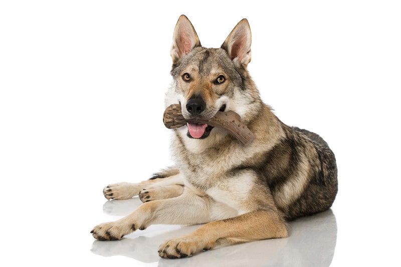 Nylabone Power Chew Antler Alternative Nylon Chew Toy for Dogs, Dog Toys for Aggressive Chewers, Venison Flavor, Large/Giant (1 Count) - Image 2