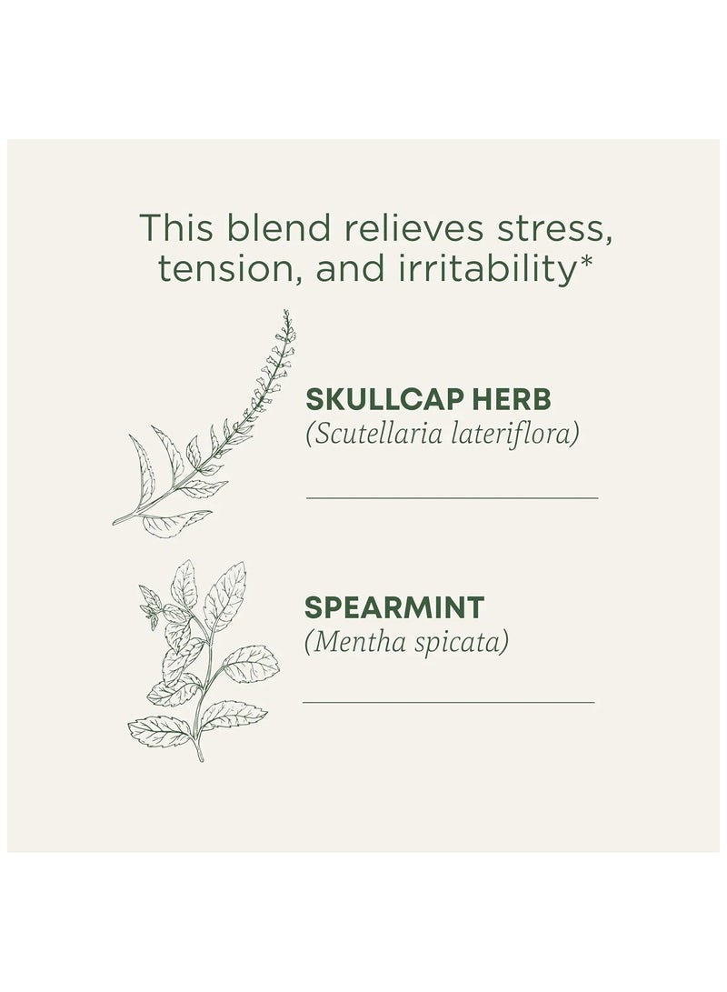 Tm Traditional Medicinals Tea Cinnamon Stress Ease Organic, 16 Ct - Image 2