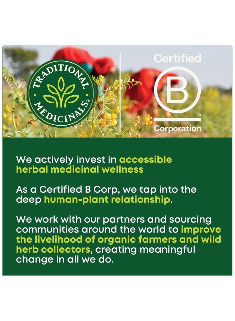 Tm Traditional Medicinals Tea Cinnamon Stress Ease Organic, 16 Ct - Image 4