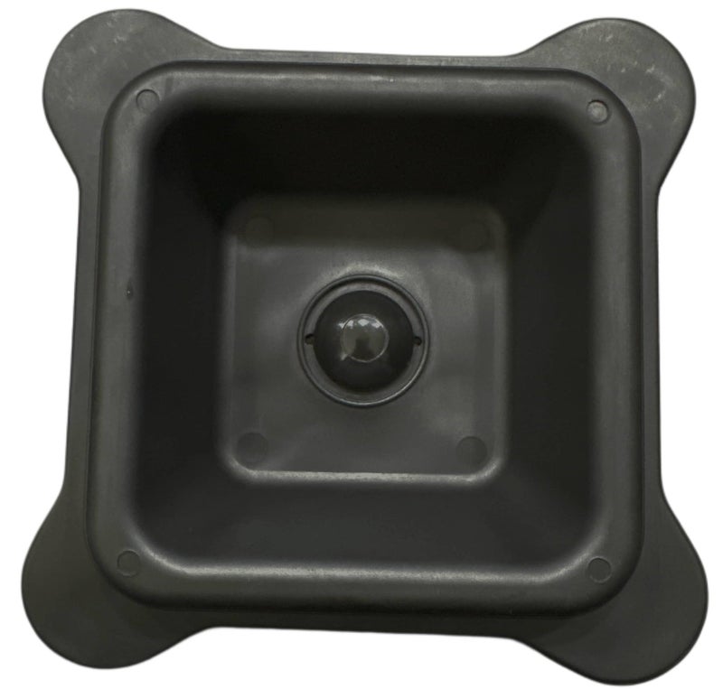 SAY LID - Image 2