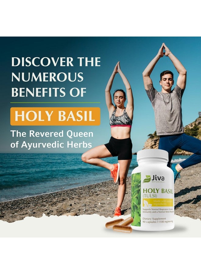 Jiva Botanicals Holy Basil Capsules - Premium Holy Basil Extract with Tulsi Powder - Ayurvedic Herb Alternative to Tincture -90 Vegan Capsules - Image 4