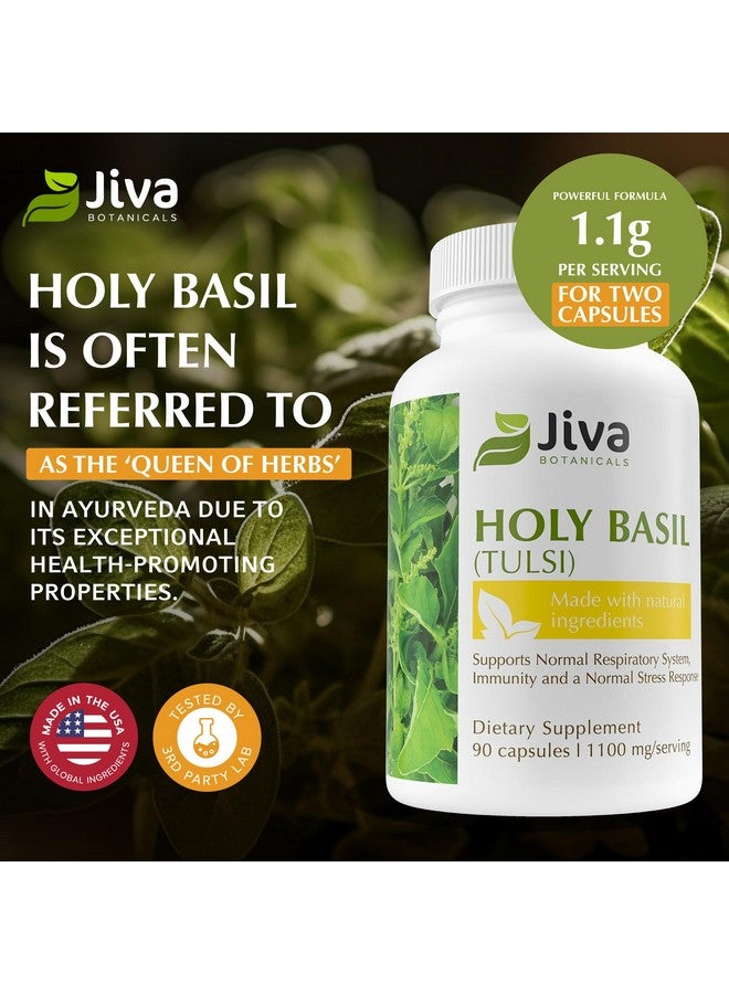 Jiva Botanicals Holy Basil Capsules - Premium Holy Basil Extract with Tulsi Powder - Ayurvedic Herb Alternative to Tincture -90 Vegan Capsules - Image 3