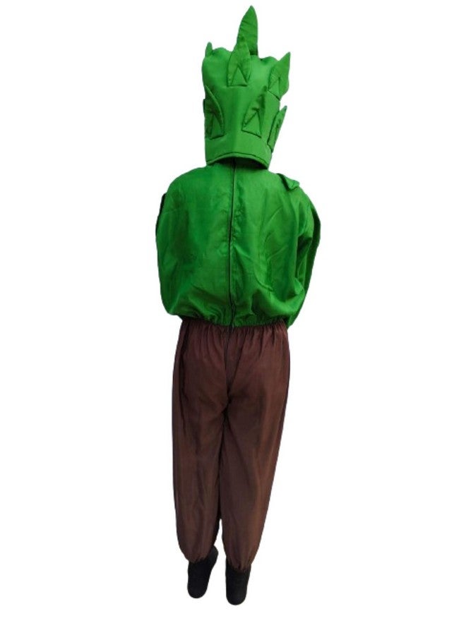 بوك ماي كوستيوم زي تنكري لشجرة خضراء وبنية من BookMyCostume للأطفال من عمر 4 إلى 5 سنوات - Image 3