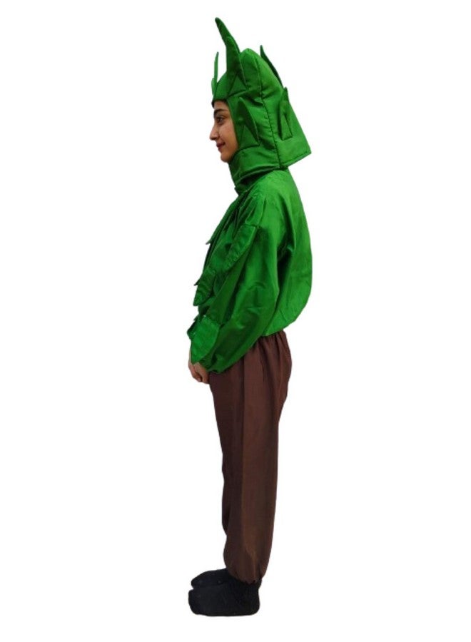 بوك ماي كوستيوم زي تنكري لشجرة خضراء وبنية من BookMyCostume للأطفال من عمر 4 إلى 5 سنوات - Image 4