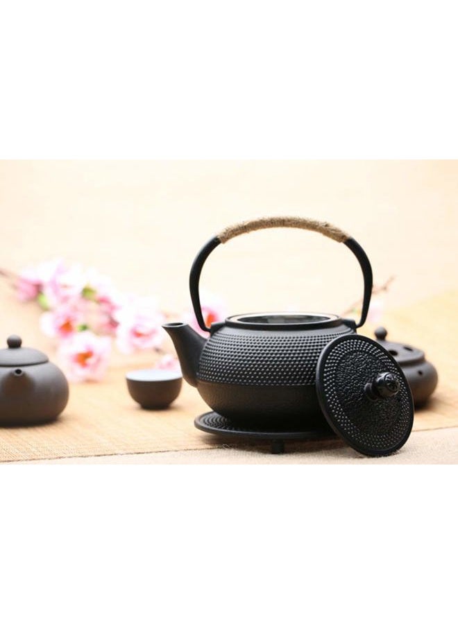 Hwagui Best Japanese Cast Iron Teapot Tea Kettle With Stainless Steel Infuser, Black 800ml/27oz - Image 4