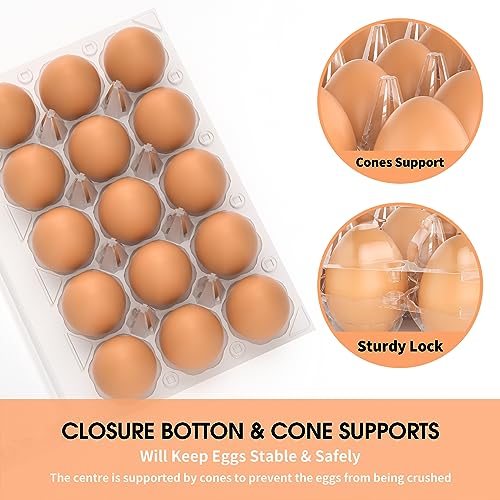 EVANCENT 100 Pack Egg Cartons Cheap Bulk 12 Count Clear Plastic Egg Containers for Chicken Eggs, Reusable Egg Holder for Home Ranch Farm Commercial Market Display, Plastic Egg Packaging for Craft Projects - Image 3