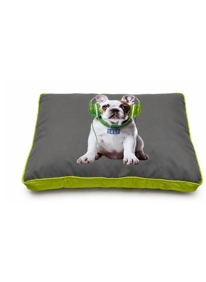 Accessories orgo Dog & Cats ORGO - POGO BED - For Dog & Cats - Rectangular M Green