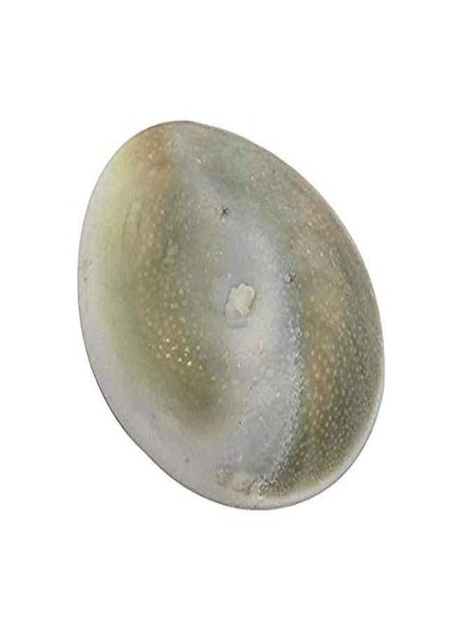 JINALI GEMS حجر جومتي شاكرا طبيعي كبير جدًا، نادر الجودة، يصل طوله إلى حوالي 5 سم - 1 - Image 2