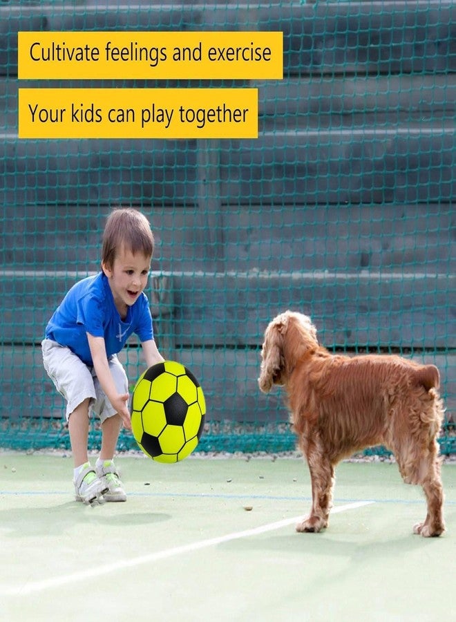 Ciko Beech Football infaltable | Baby and Kids Ball or Mouth air Filling Balls Ranbow Multi Color for Gardan Park Home School Pool with Free Air Feeling Pump (Home Mini Ball with Pump) - Image 4