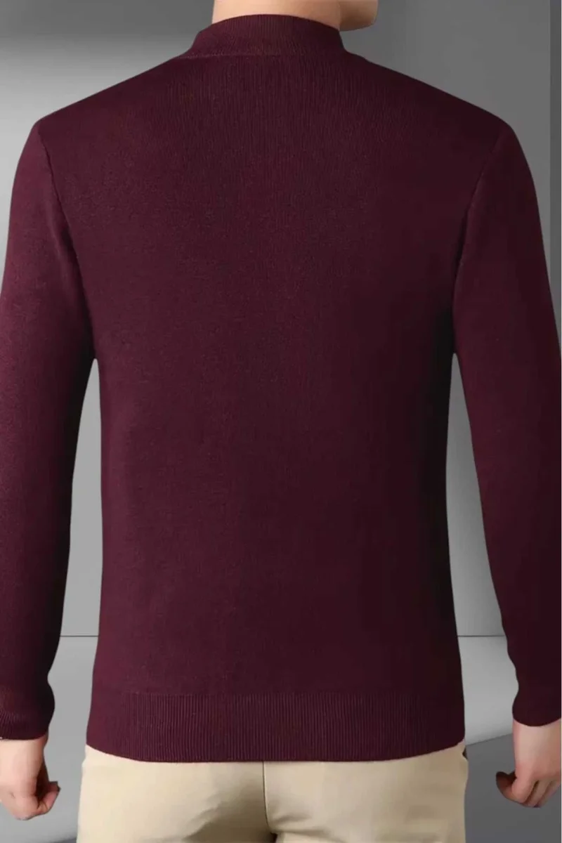 Tezzgelsin Men's Non-Pilling Half Turtleneck Knitwear Sweater Half Turtleneck Knitwear Sweater