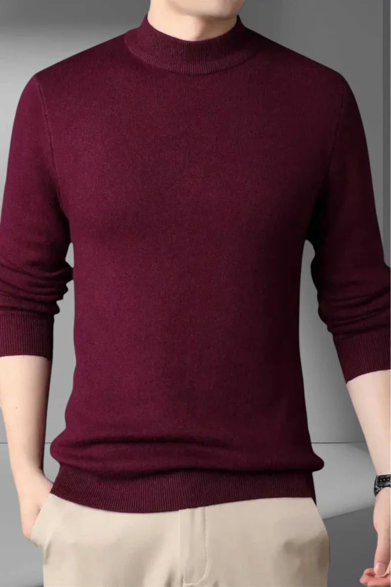 Tezzgelsin Men's Non-Pilling Half Turtleneck Knitwear Sweater Half Turtleneck Knitwear Sweater
