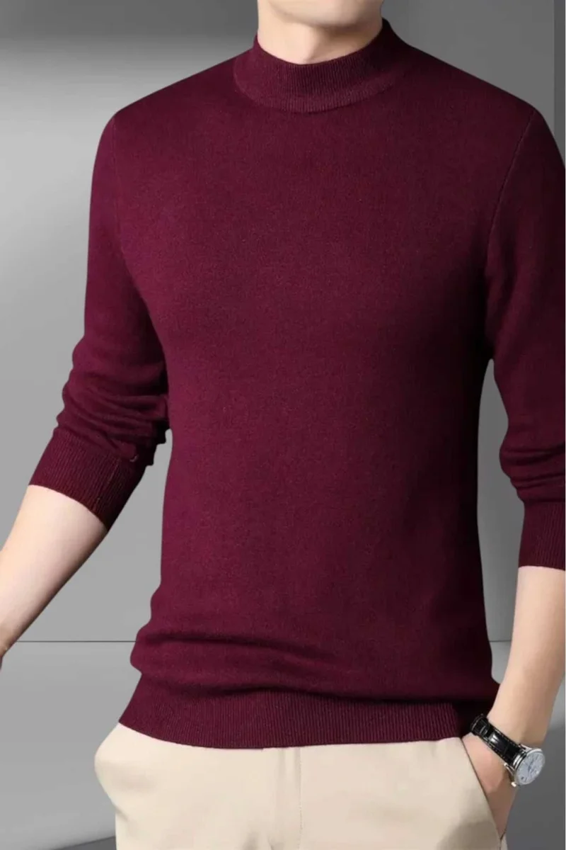 Tezzgelsin Men's Non-Pilling Half Turtleneck Knitwear Sweater Half Turtleneck Knitwear Sweater