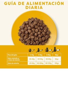 Applaws Chicken Dry Cat Food 2kg - pzsku/ZE35F7B75F88852E42D0CZ/45/_/1740073127/1dd8ac4c-a0c8-4777-8106-5b7e02dc19e1