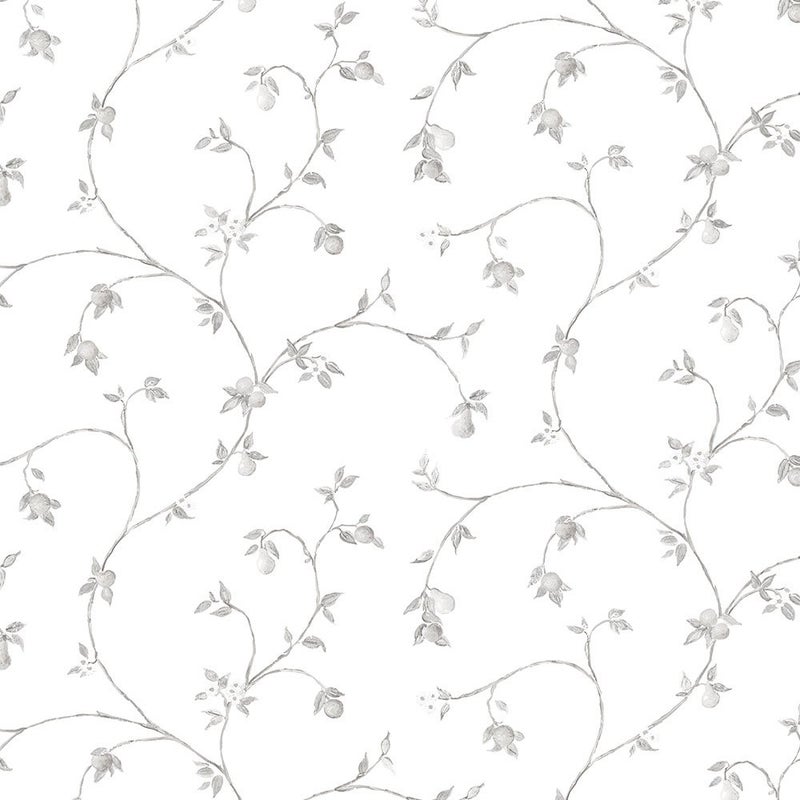 Norwall CK36608bolt Wallpaperfruit Trail Wallpaper Prepasted