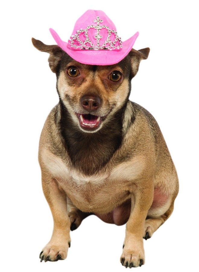 قبعة راعية البقر الوردية مع تاج للكلاب من روبيز، مقاس متوسط/كبير