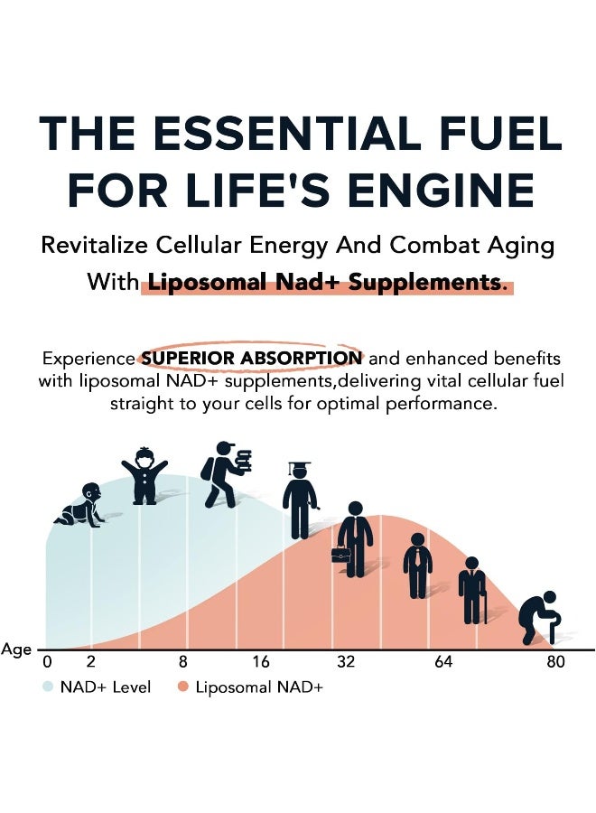 Fabamax 1600 mg Liposomal NAD Supplement, 98% Pure NAD+ Supplement, Superior Absorption, Alternative to Nicotinamide Riboside or NADH to Boost NAD+ for Aging Defense, Energy, Longevity, 60 Softgels - Image 3