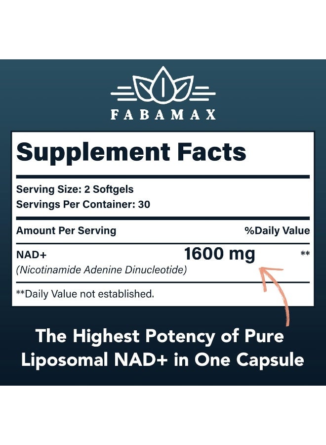 Fabamax 1600 mg Liposomal NAD Supplement, 98% Pure NAD+ Supplement, Superior Absorption, Alternative to Nicotinamide Riboside or NADH to Boost NAD+ for Aging Defense, Energy, Longevity, 60 Softgels - Image 2