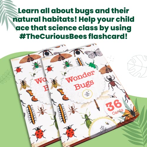 Busy Bubb - Wonder Bugs | 36 Laminated Anti-Glare Cards | Montessori Inspired Fun & Easy to Learn Toys for Kids - Image 5
