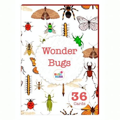 Busy Bubb - Wonder Bugs | 36 Laminated Anti-Glare Cards | Montessori Inspired Fun & Easy to Learn Toys for Kids - Image 1