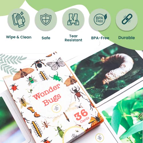Busy Bubb - Wonder Bugs | 36 Laminated Anti-Glare Cards | Montessori Inspired Fun & Easy to Learn Toys for Kids - Image 2