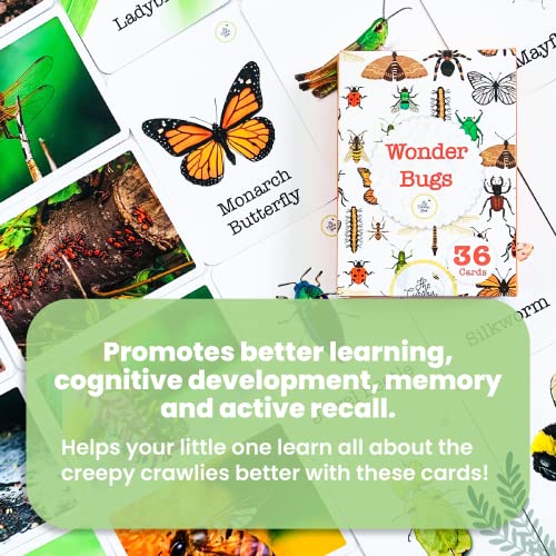Busy Bubb - Wonder Bugs | 36 Laminated Anti-Glare Cards | Montessori Inspired Fun & Easy to Learn Toys for Kids - Image 4