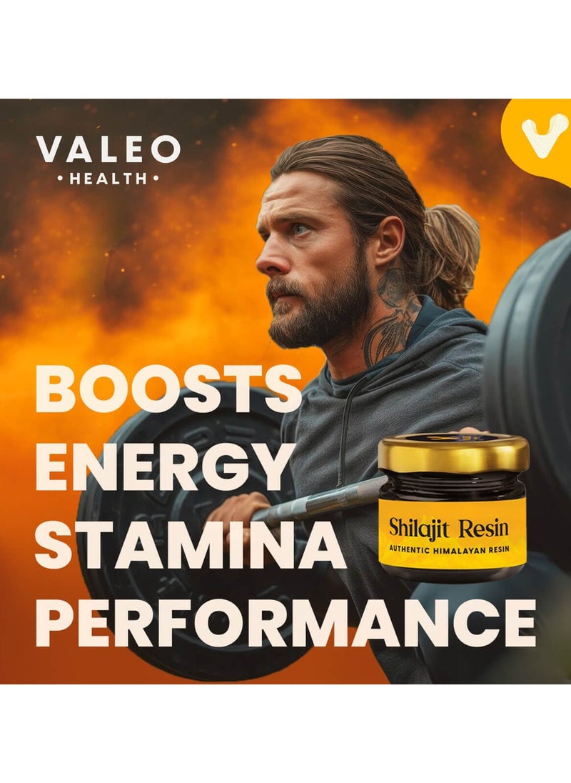 VALEO - Himalayan Shilajit Resin 20 G - Image 1