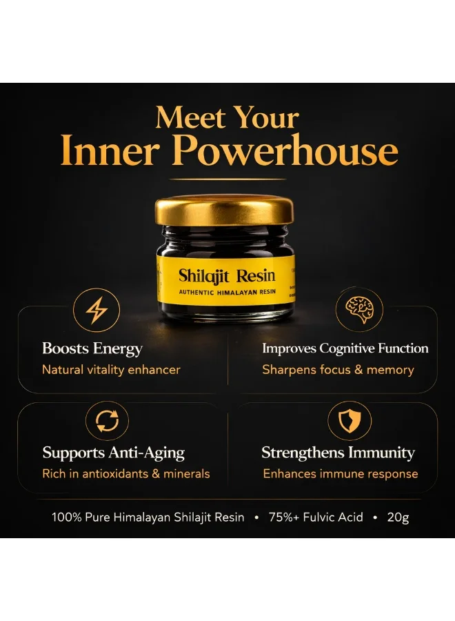 فاليو فاليو الهيمالايا شيلاجيت الراتنج 20 جرام