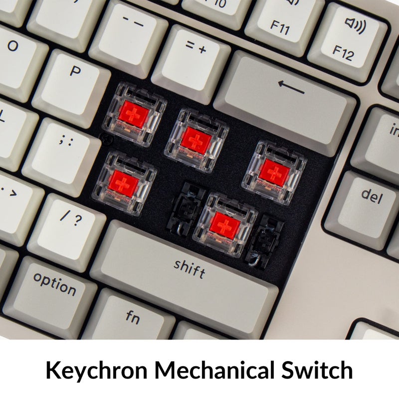 Keychron C2 Full Size Wired Mechanical Keyboard Compatible with Mac, Keychron Red Switch, 104 Keys ABS Retro Color Keycaps Gaming Keyboard for Windows, USB-C Type-C Braid Cable - Image 4