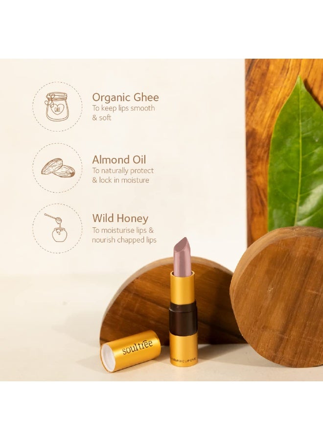 سول تري أحمر شفاه SoulTree الأيورفيدي - درجة Peachy Mist 540، سعة 4 غرام | ذو قوام كريمي | غني بالسمن العضوي وزيت اللوز | لشفاه مرطبة ومغذّاة | 4 غرام - Image 2